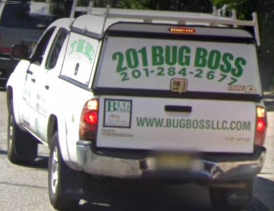 Bug Boss Truck