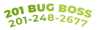 Bug Boss Termite and Pest Control LLC